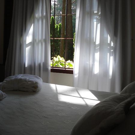 La Mansion Del Bosque 호텔 마르 데 라스 팜파스 외부 사진